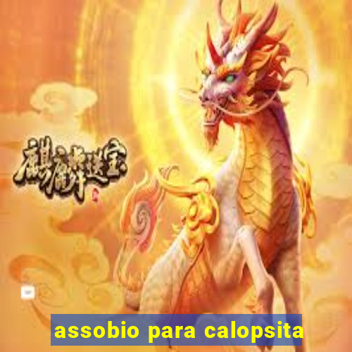 assobio para calopsita